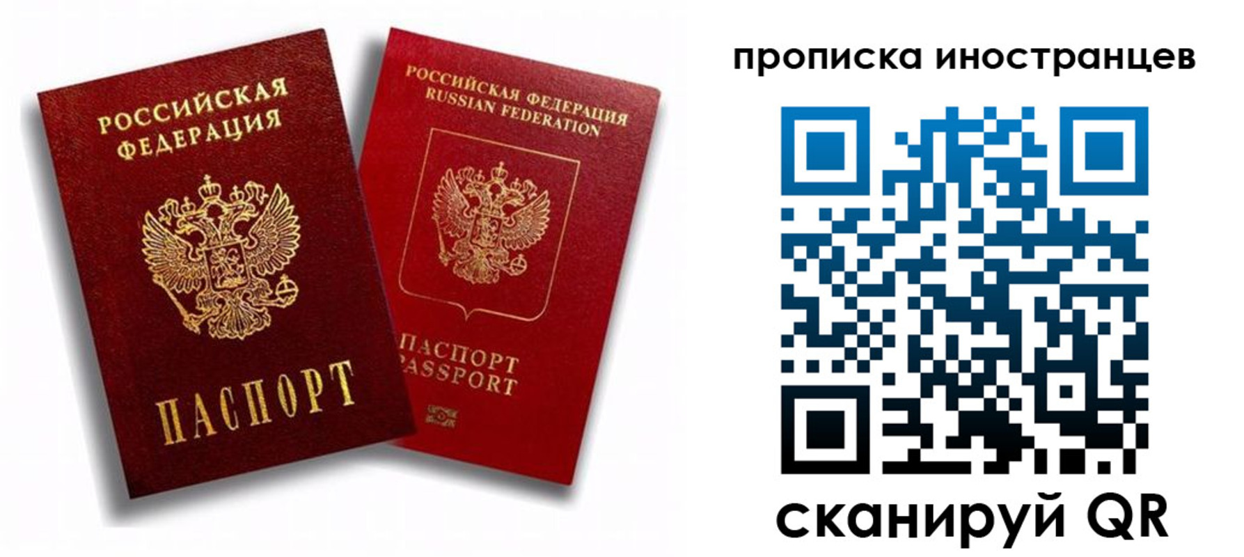 прописка паспорт в Полярных Зорях